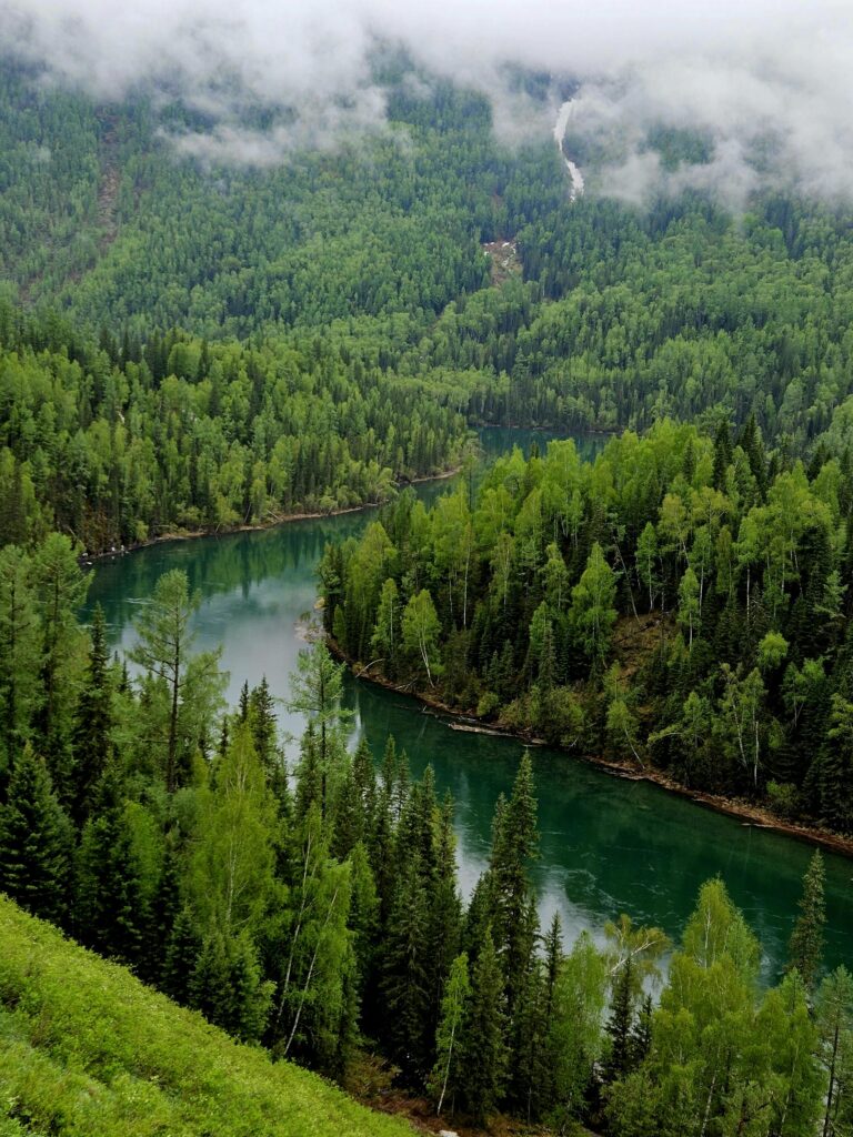 Aerial view of a lush green forest surrounding a calm river on a misty day.
